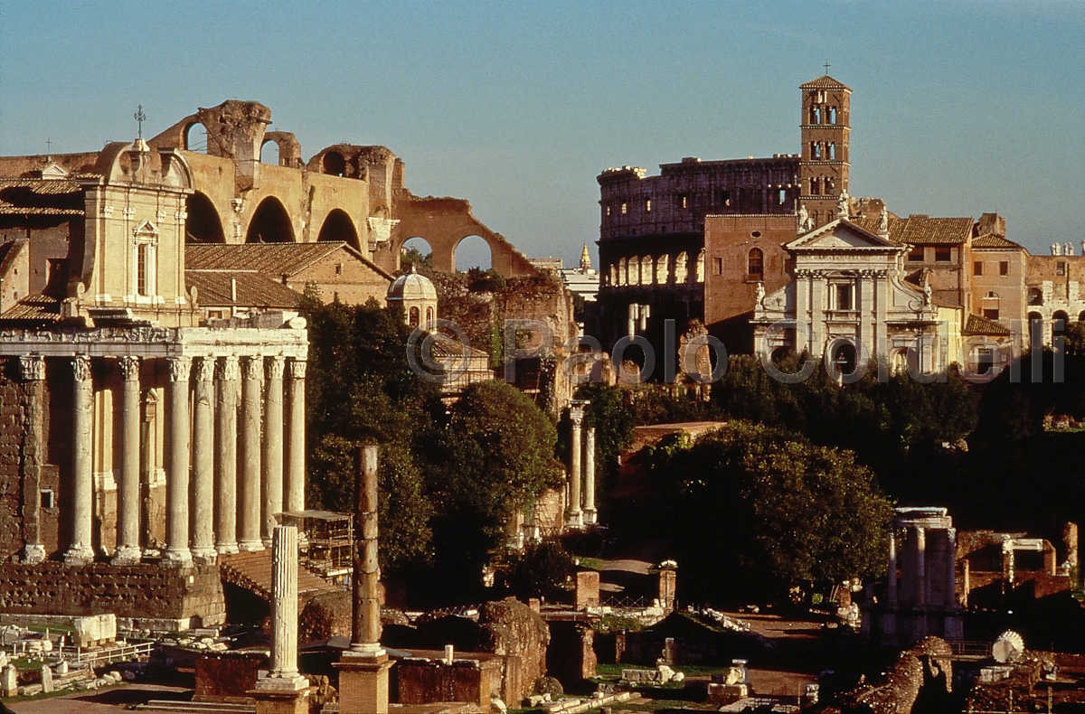 Roman Forum, Rome, Italy
 (cod:Rome 31)